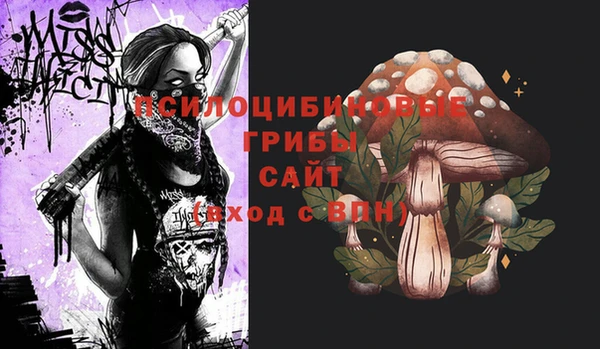 дурь Касимов