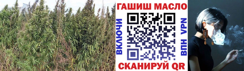 ТГК концентрат  как найти наркотики  Ковдор 