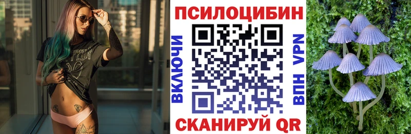 Псилоцибиновые грибы GOLDEN TEACHER  магазин    Ковдор 